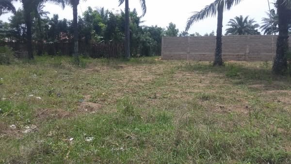 Parcelle de 310 m² Recasée Disponible