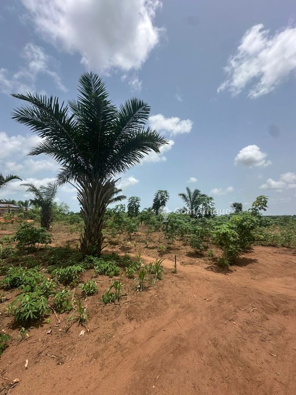Terrain 500 m²