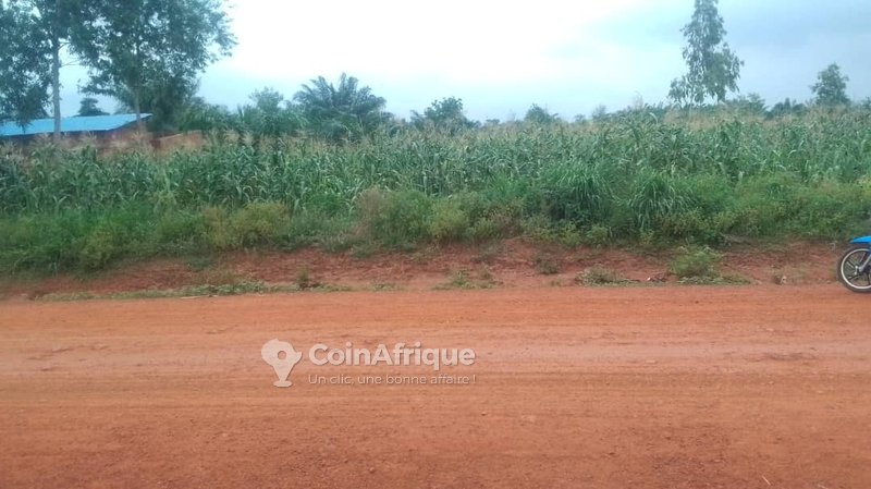 Terrain 500 m²