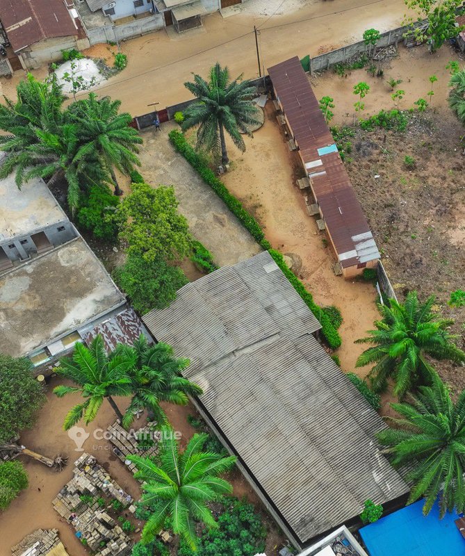 Terrain 1200 m²