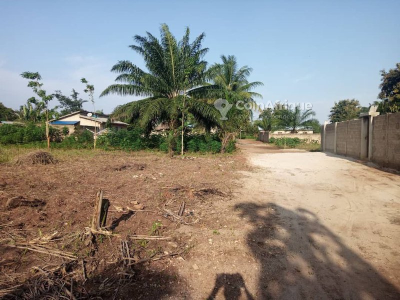 Parcelles 4500 m²